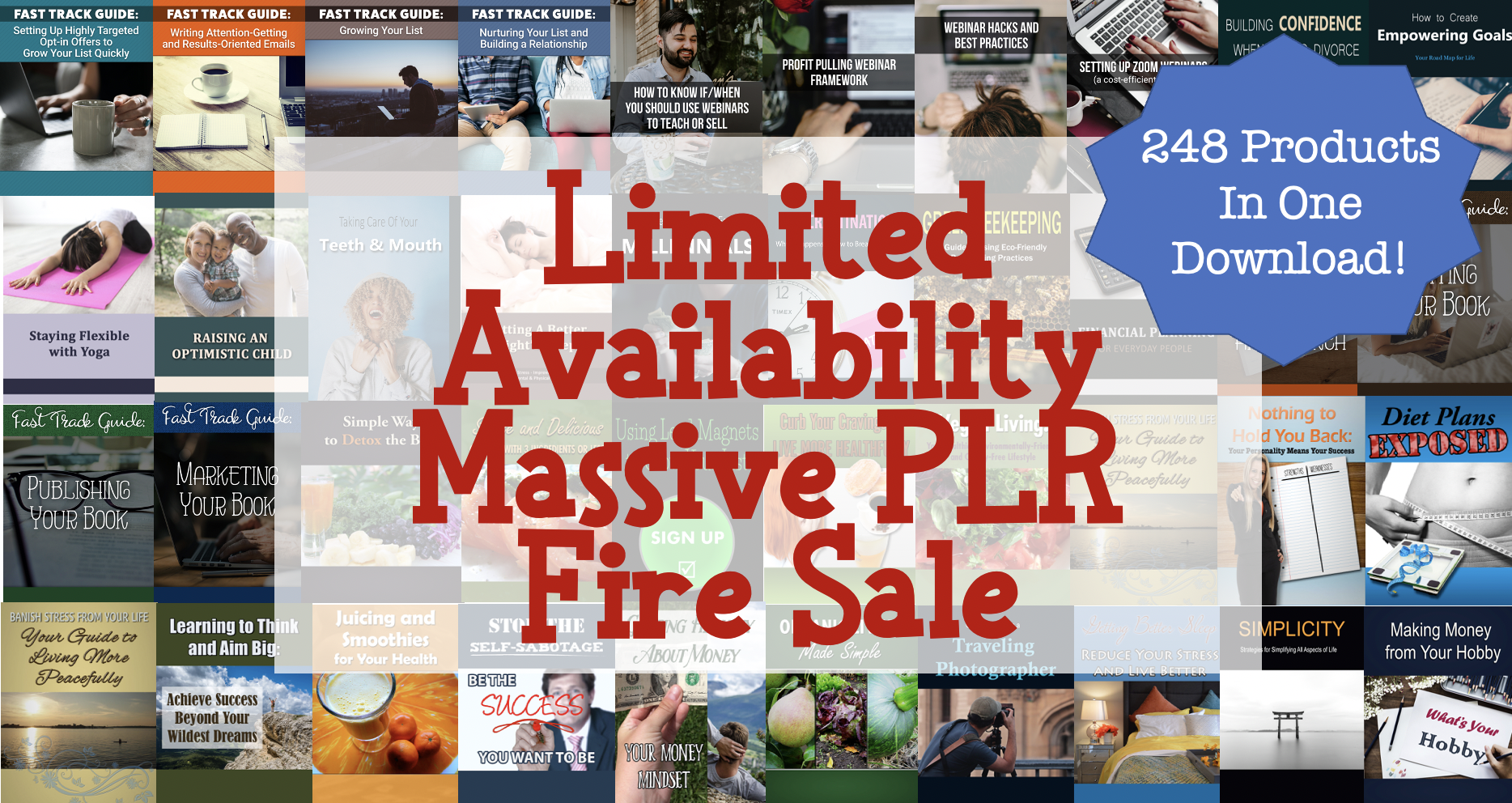 Massive PLR Fire Sale - 248 PLR Products